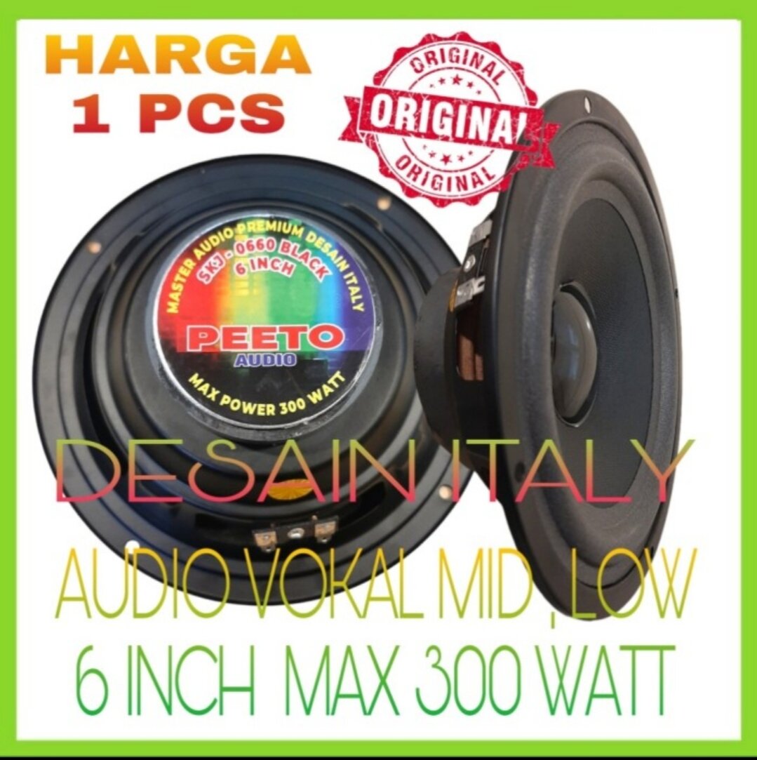 speaker 6 inch 300 watt