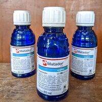 MATADOR 25 EC 80 ML KEMASAN PABRIK INSEKTISIDA PEMBASMI HAMA