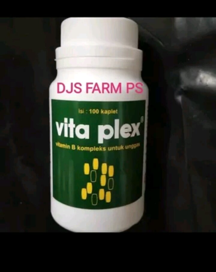 Vita Plex 100 Medion Vitamin B Komplek B Kompleks B Complex Hewan ...