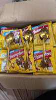 Champion Susu Coklat isi 10 + Gratis 1 Sendok  ( 1 renceng )