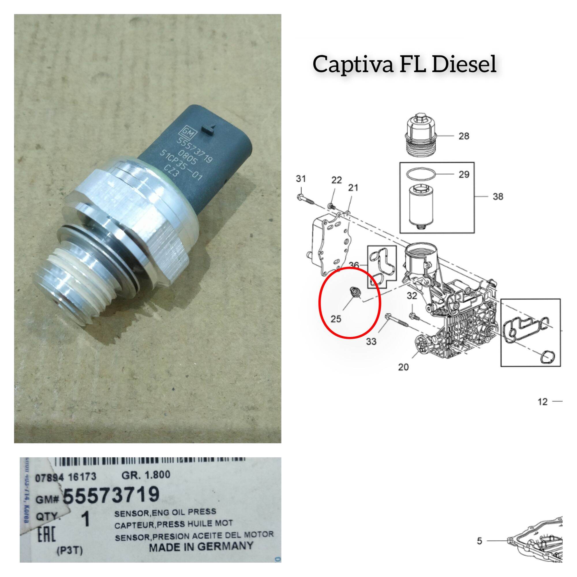 Switch Oli Sensor Oil Pressure Chevrolet Captiva FL Diesel Original Lazada Indonesia