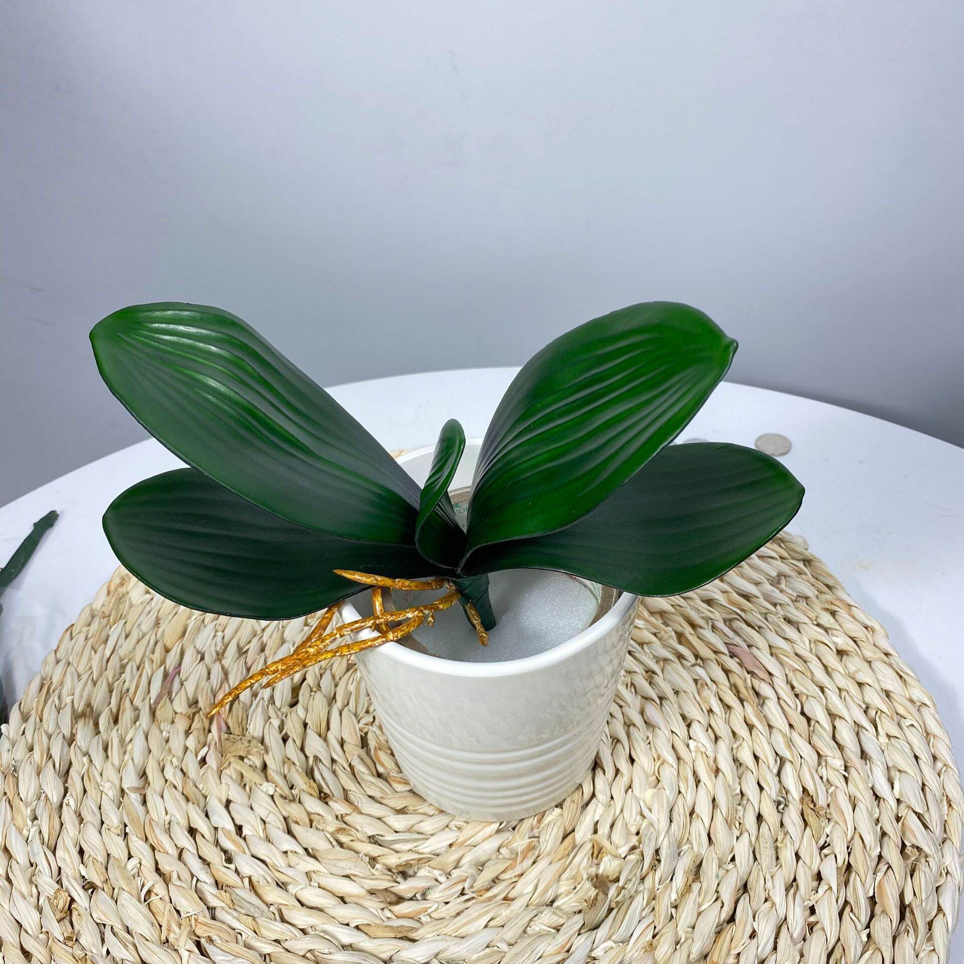 Daun anggrek latex / Daun Anggrek Artificial
