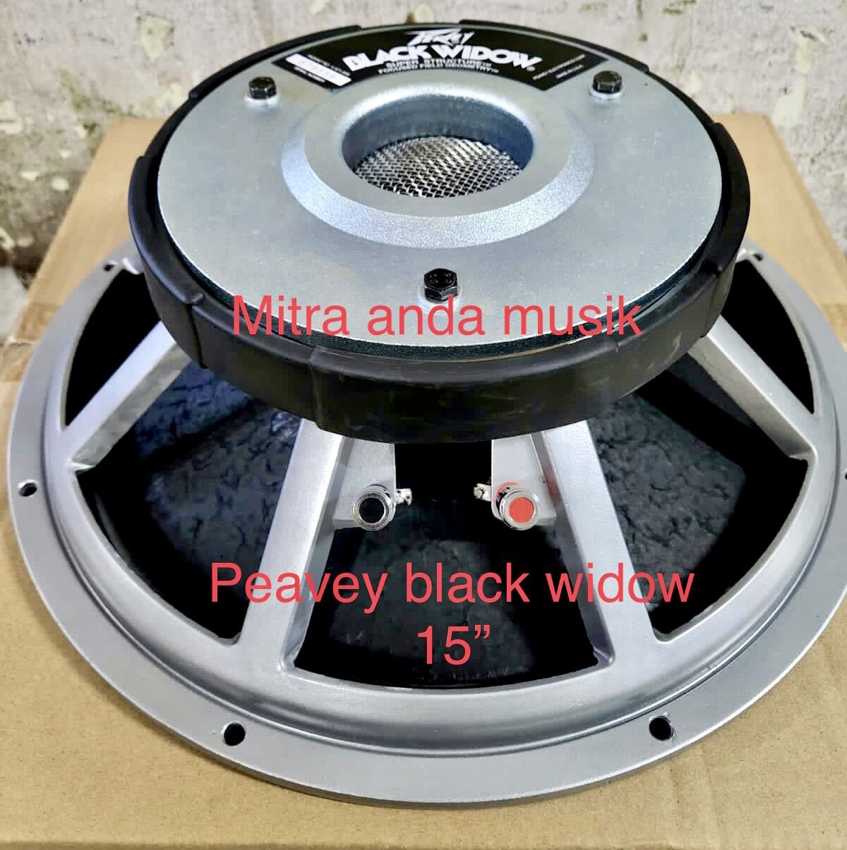 harga speaker peavey black widow 15