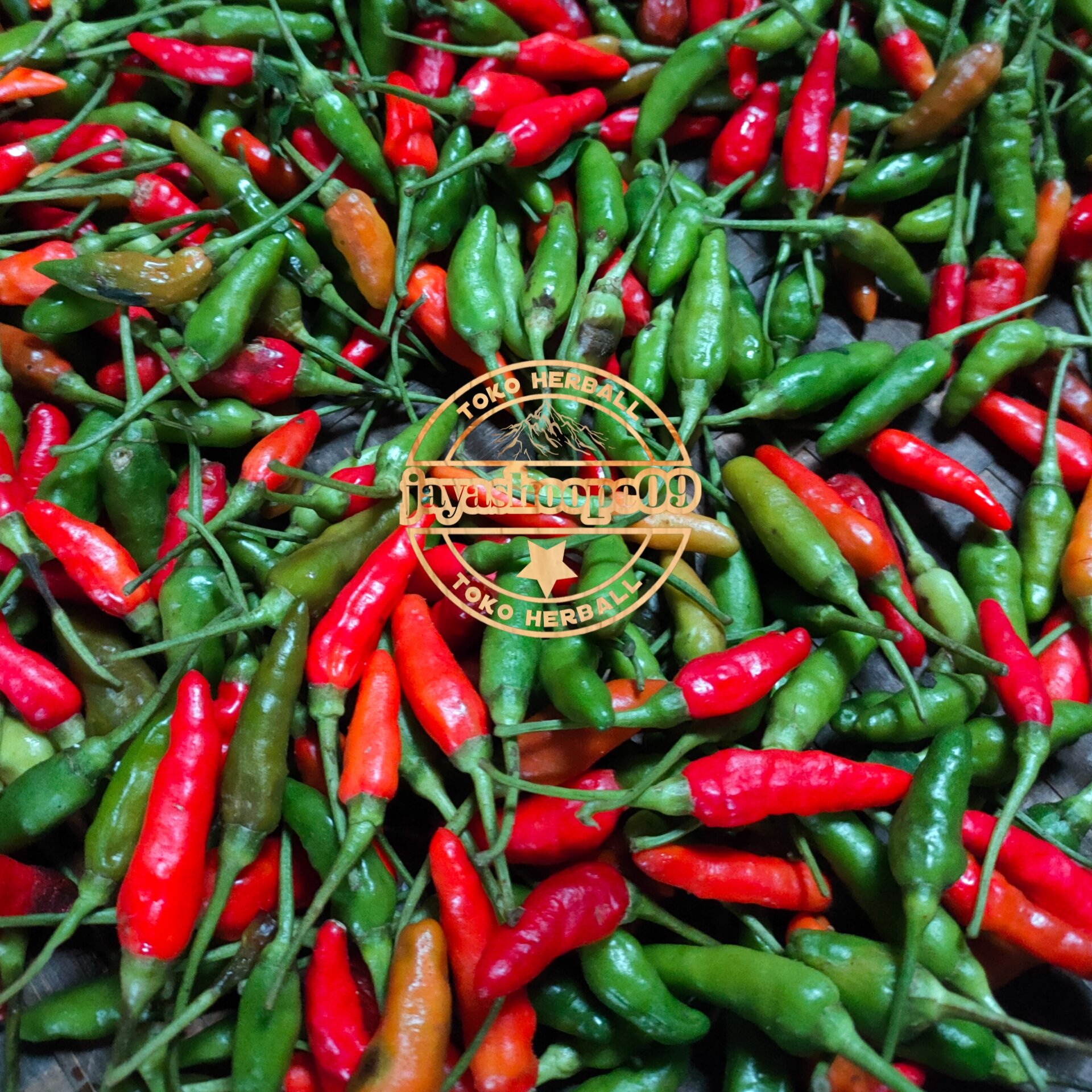 Cabe rawit hijow merah asli cabe rawit hutan per 500.grm | Lazada Indonesia